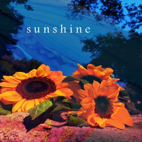 Sunshine | Boomplay Music