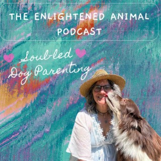 Energy modalities, vibrational frequencies and grounding for you and your dog with Gina Slagle
