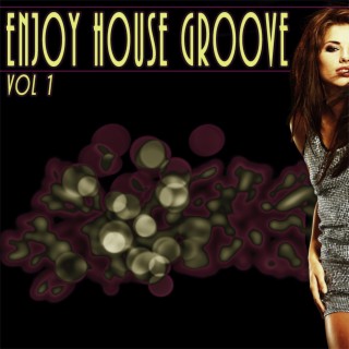 Enjoy House Groove, Vol. 1 - a of the Finest House Musi