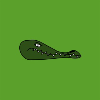 Alligator