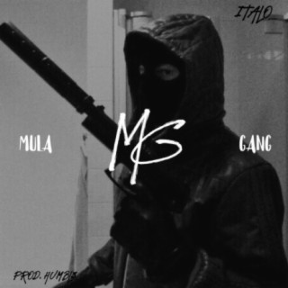 Mula Gang