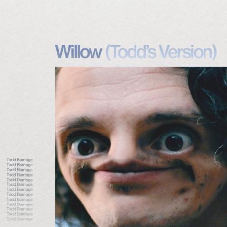 willow (Todd's Version) | Boomplay Music