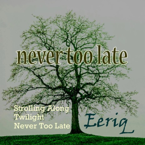 Never Too Late | Boomplay Music