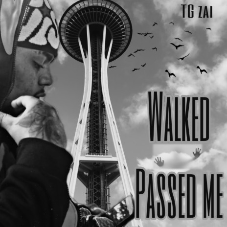 Walked Passed Me | Boomplay Music