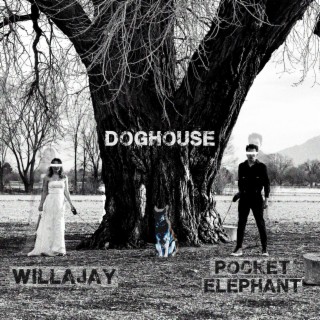 DOGHOUSE ft. pocket elephant lyrics | Boomplay Music