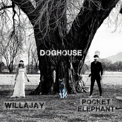 DOGHOUSE ft. pocket elephant | Boomplay Music