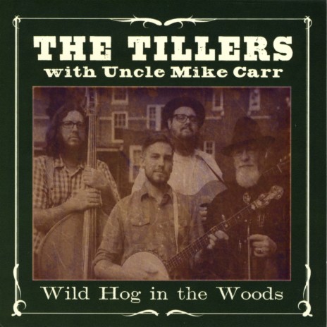 Wild Hog in the Woods | Boomplay Music