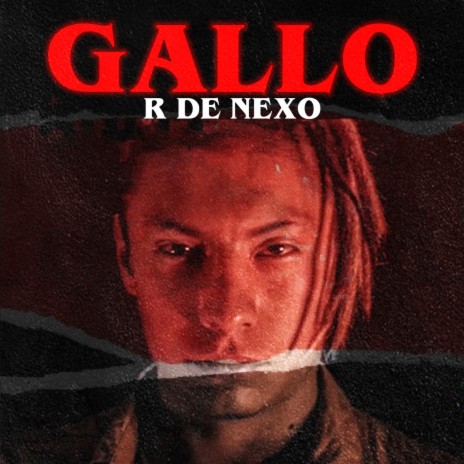 Gallo | Boomplay Music