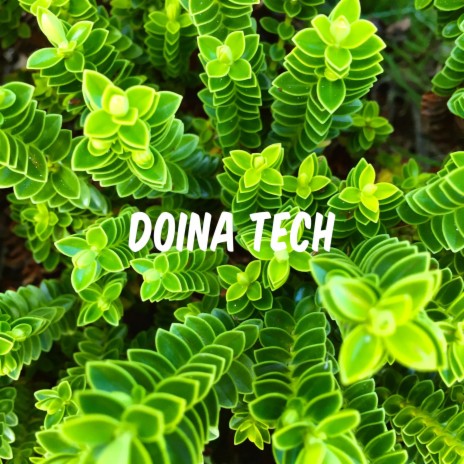 Doina Tech ft. Mina Pâslaru | Boomplay Music