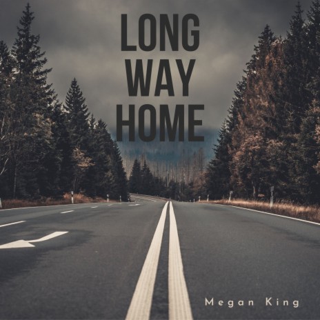 Long Way Home | Boomplay Music