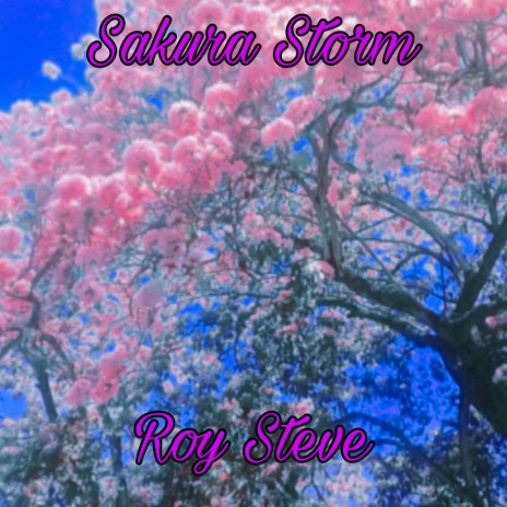 Sakura Storm