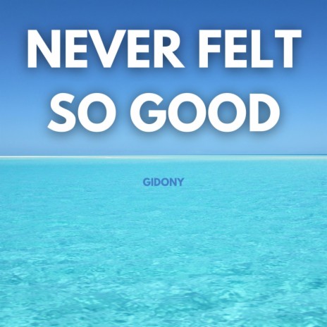 Never Felt So Good | Boomplay Music