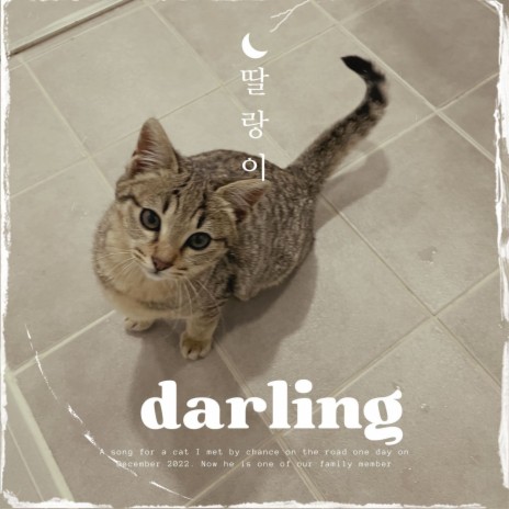 Darling Song | Boomplay Music