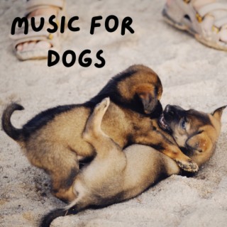 Music For Dogs