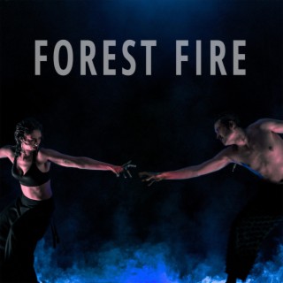 Forest Fire lyrics | Boomplay Music