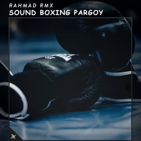 Sound Boxing Pargoy