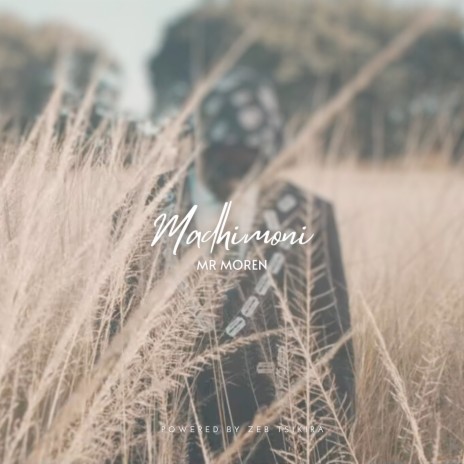 Madhimoni ft. Powered by Zeb Tsikira | Boomplay Music