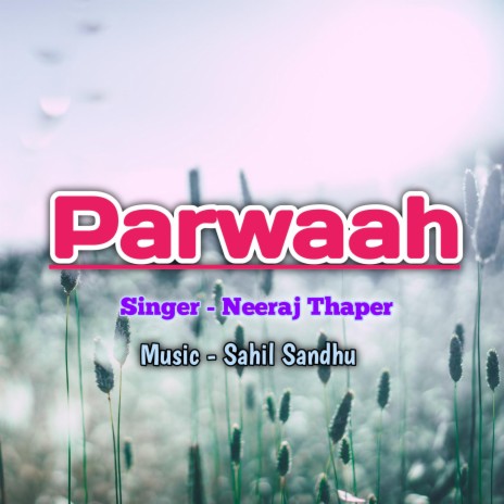Parwaah | Boomplay Music