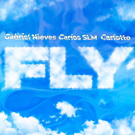 Fly (Original mix) ft. Gabriel Nieves & Carlos SLM | Boomplay Music