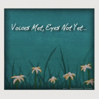 Voices Met, Eyes Not Yet (The Piano Diaries: Chapter -1)