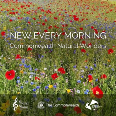 New Every Morning | Boomplay Music