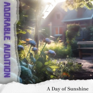 A Day of Sunshine