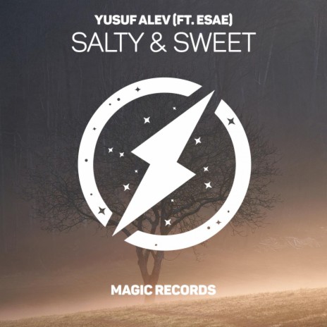 Salty & Sweet ft. ESAE | Boomplay Music