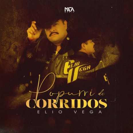 Popurri De Corridos (En Vivo) | Boomplay Music