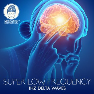 Super Low Frequency 1Hz Delta Waves: Insomnia Cure, Stress Relief, Reprogram Your Mind, Erase Negative Thoughts, Healing Your Nervous System, Relief for Soul
