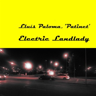 Electric Landlady