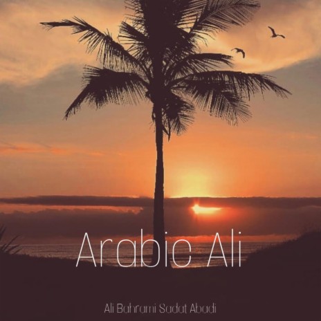 Arabic ali | Boomplay Music