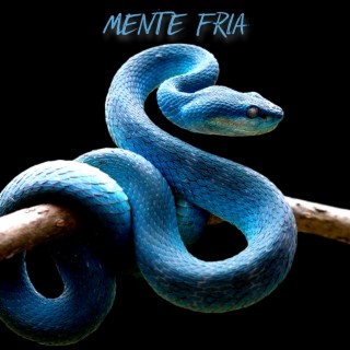 Mente Fria