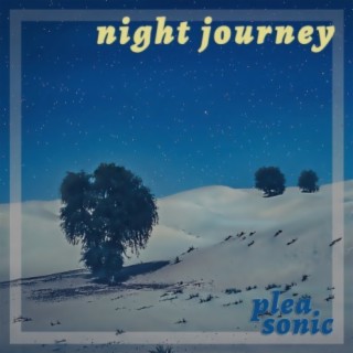 Night Journey