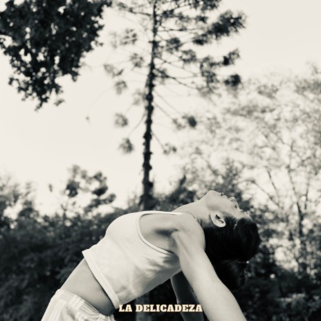 La Delicadeza | Boomplay Music