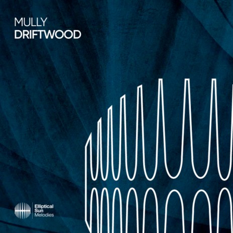 Driftwood (Extended Mix) | Boomplay Music