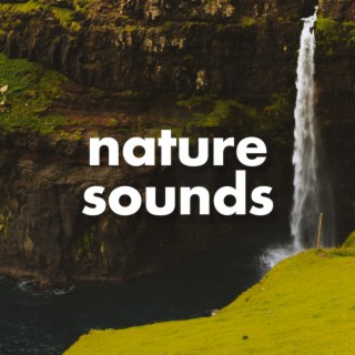 Nature Sounds