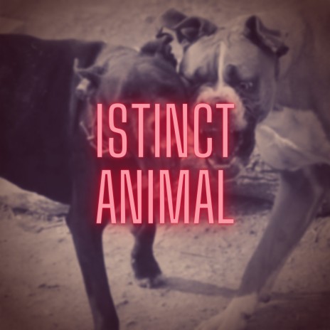 Istinct Animal | Boomplay Music