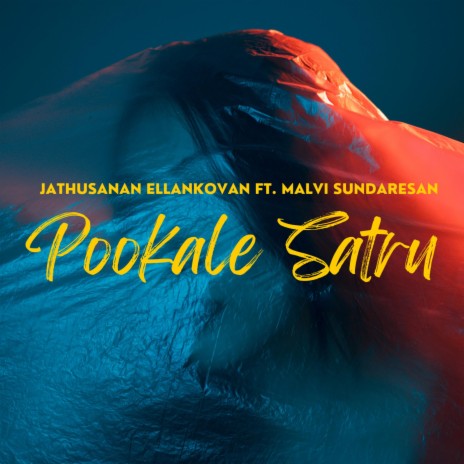 Pookale Satru (Lofi) ft. Malvi Sundaresan | Boomplay Music