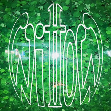 Willow | Boomplay Music