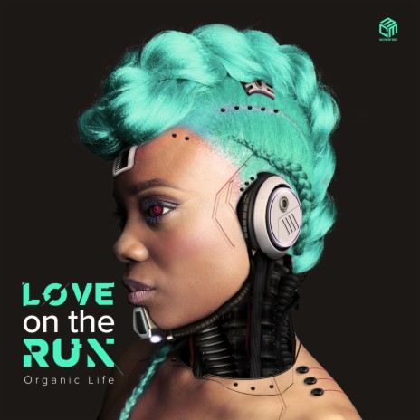 Love On The Run (Jonathan Rosa Remix) ft. Melissa Lauren & Jonathan Rosa | Boomplay Music