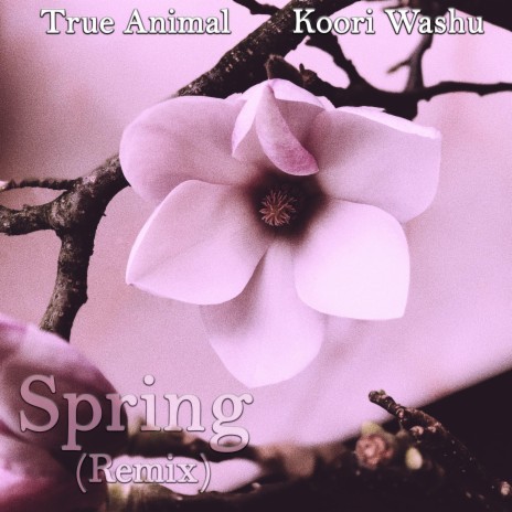 Spring ft. Koori Washu | Boomplay Music
