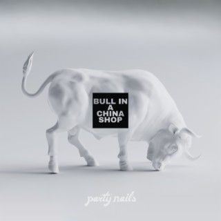 Bull In A China Shop | Boomplay Music
