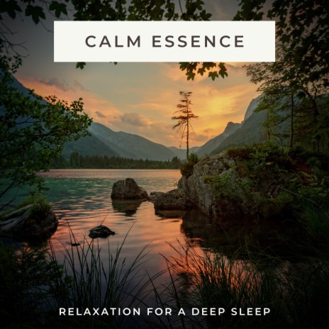 Relax Relax and Sleep | Boomplay Music