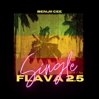 FLAVA 2.5 (single)