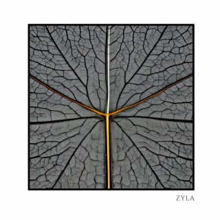 Zyla