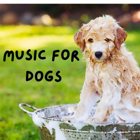 Zen Zone for Paws ft. Calm Pets Music Academy, Music For Dogs & Music For Dogs Peace | Boomplay Music