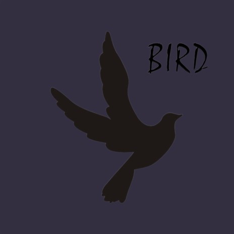 Bird | Boomplay Music