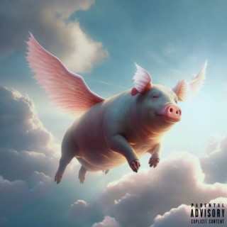 When Pigs Fly