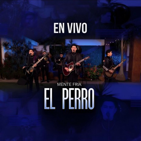 El Perro (En vivo) | Boomplay Music