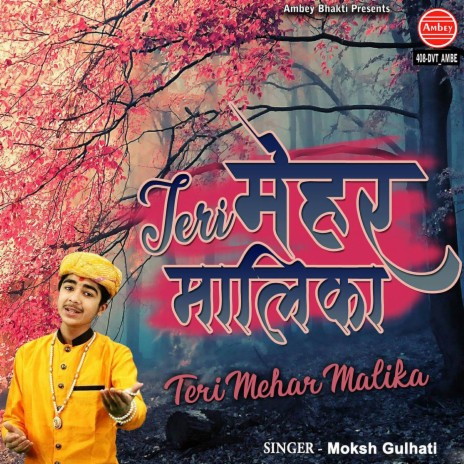 Teri Mehar Malika | Boomplay Music